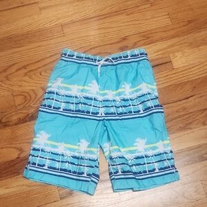 Aqua and White Swim Shorts, 10/12, EUC